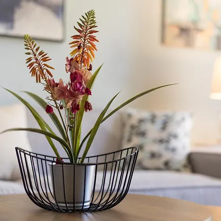 Home2book Stylish With Pool Access Апартаменты *